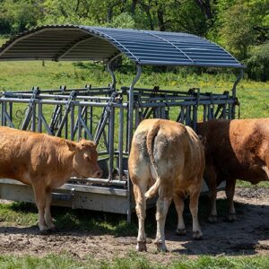Livestock products