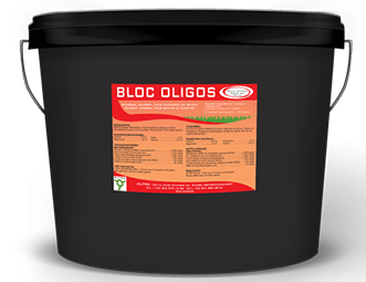 Bloc Oligos