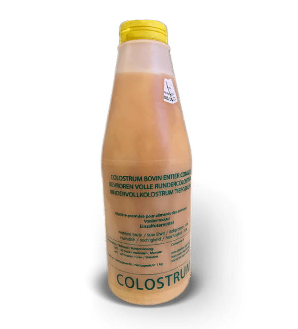 Colostrum bovin congelé