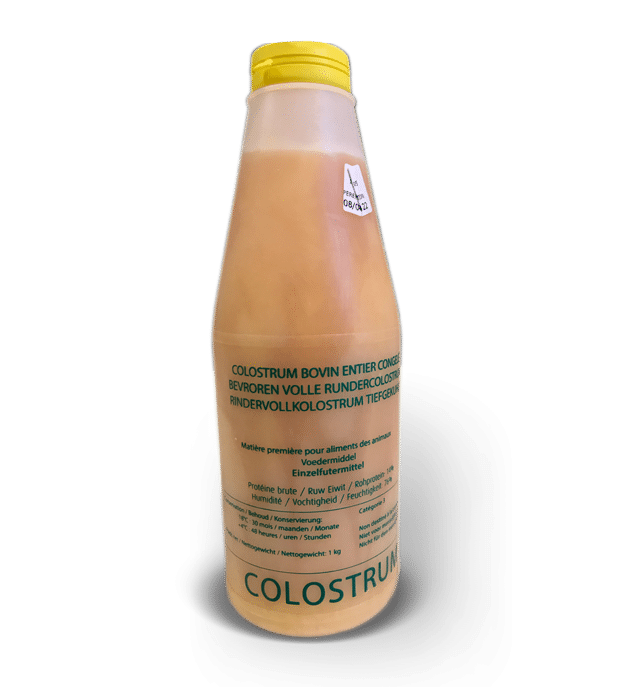 Colostrum bovin congelé