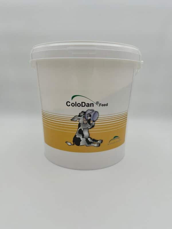 Colodan